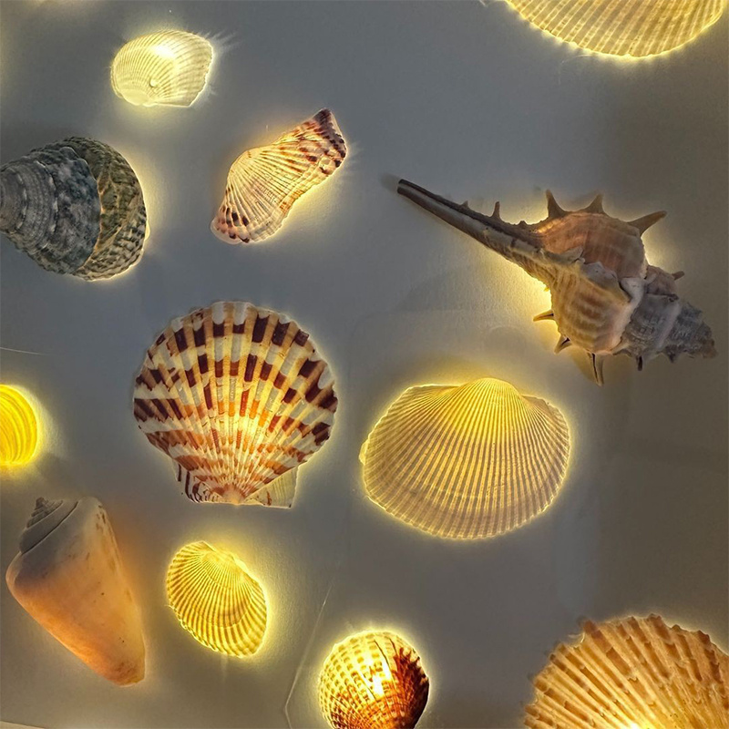 杰克-貝殼燈光畫丨情人節禮物桌面擺件 丨diy貝殼相框小夜燈 丨鯨魚款貝殼相框小夜燈全套材料包（3118）