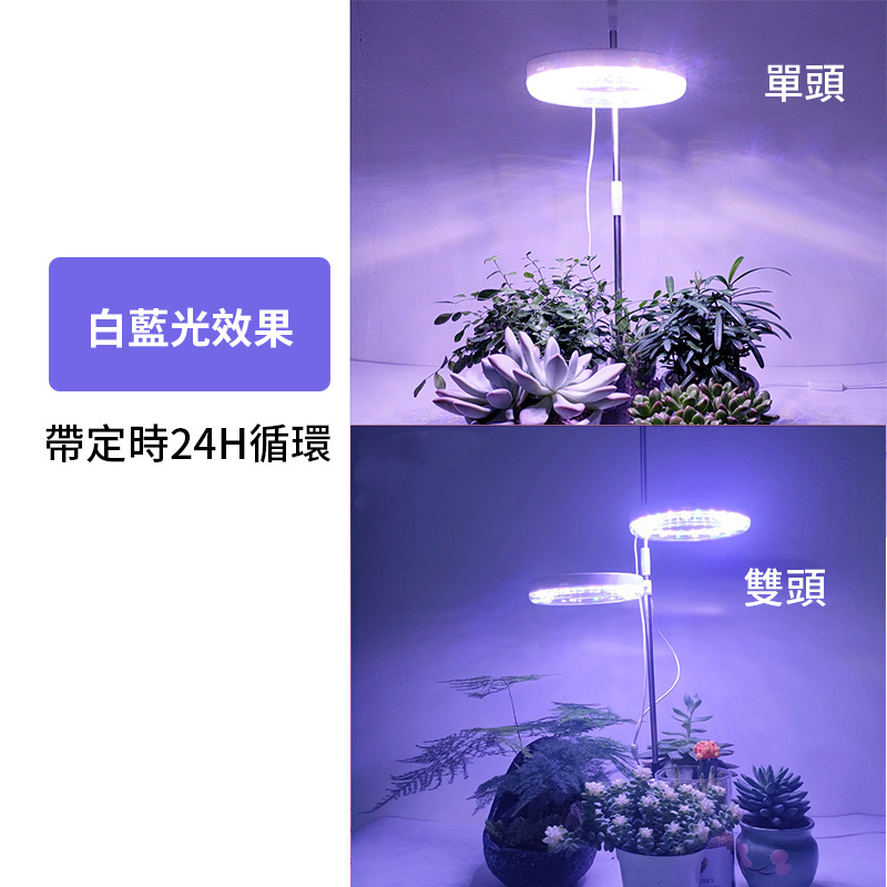 地插式天使單環植物燈 | 全光譜LED | 自由調節 | 定時功能 | USB供電 | 直徑160mm（8105）