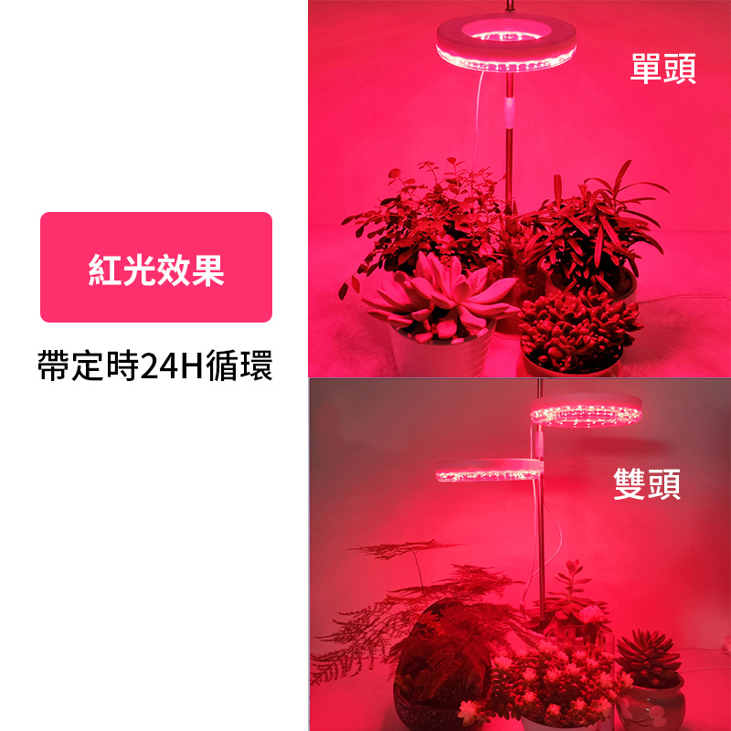 地插式天使單環植物燈 | 全光譜LED | 自由調節 | 定時功能 | USB供電 | 直徑160mm（8105）