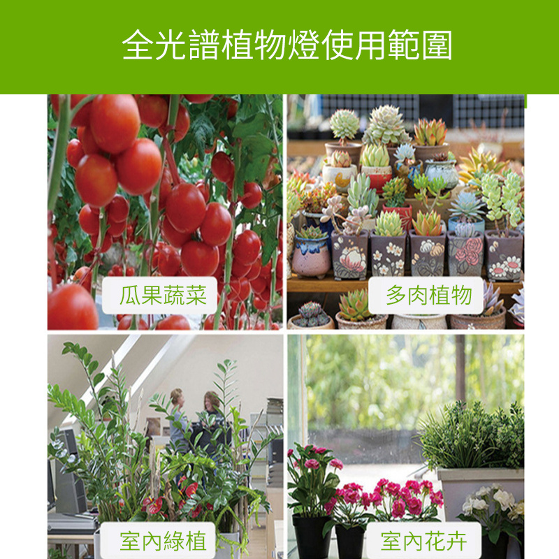 地插式天使單環植物燈 | 全光譜LED | 自由調節 | 定時功能 | USB供電 | 直徑160mm（8105）