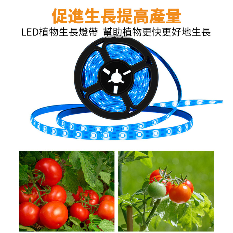 led防水植物生長燈丨usb燈帶觸摸調光全光譜種植補光燈丨花卉植物生長燈 丨冰藍 0.5米/防水（8107）