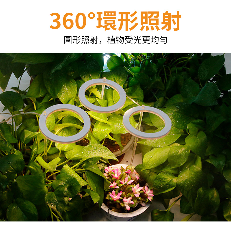 一頭 LED天使環植物生長燈丨室內全光譜多肉植物補光燈丨智能定時植物生長燈 丨單頭 太陽光（8108）