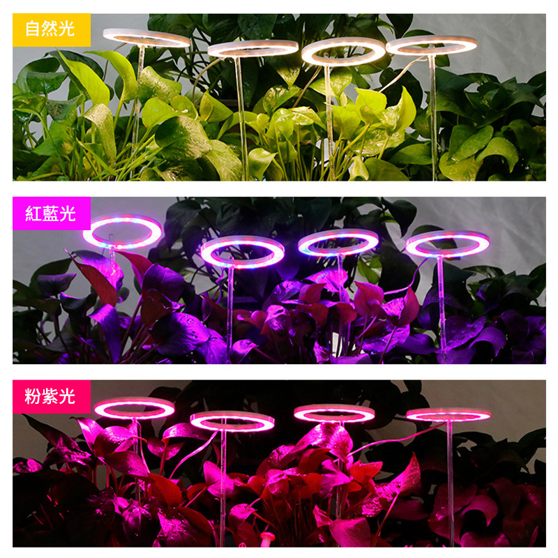 一頭 LED天使環植物生長燈丨室內全光譜多肉植物補光燈丨智能定時植物生長燈 丨單頭 太陽光（8108）