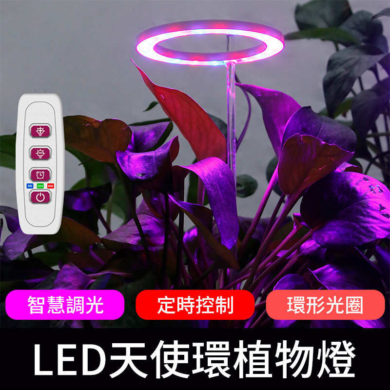 一頭 LED天使環植物生長燈丨室內全光譜多肉植物補光燈丨智能定時植物生長燈 丨單頭 太陽光（8108）