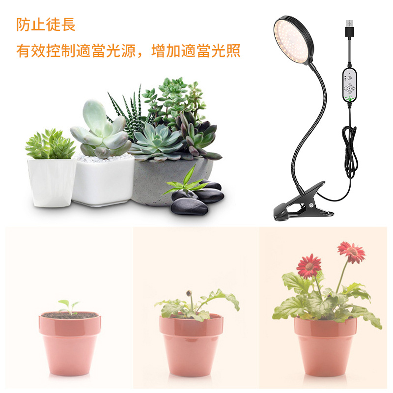LED植物燈丨室內生長燈丨全光譜30W蔬菜多肉補光燈丨種植可調光定時5檔 丨 15W（一頭） 紅藍（8111）