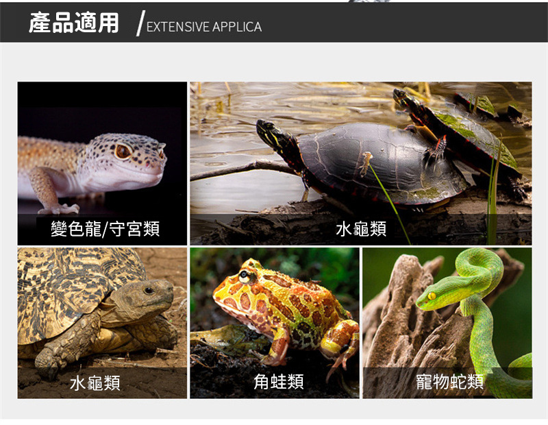 烏龜曬背燈燈架 | 爬寵燈支架 | 帶夾子爬蟲萬向燈架-黑色 英規定時開關（1.8米）+加熱燈（8112）