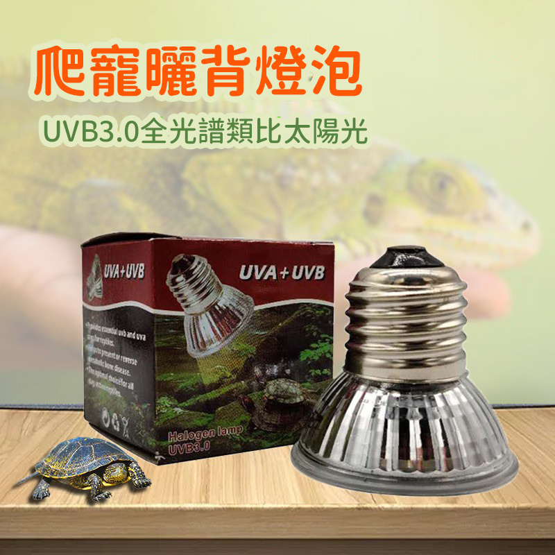 養殖烏燈 | 龜曬背燈 | 全光譜UVA+UVB爬寵陸龜蜥蜴太陽燈 | 加熱燈爬蟲保溫燈（8114）
