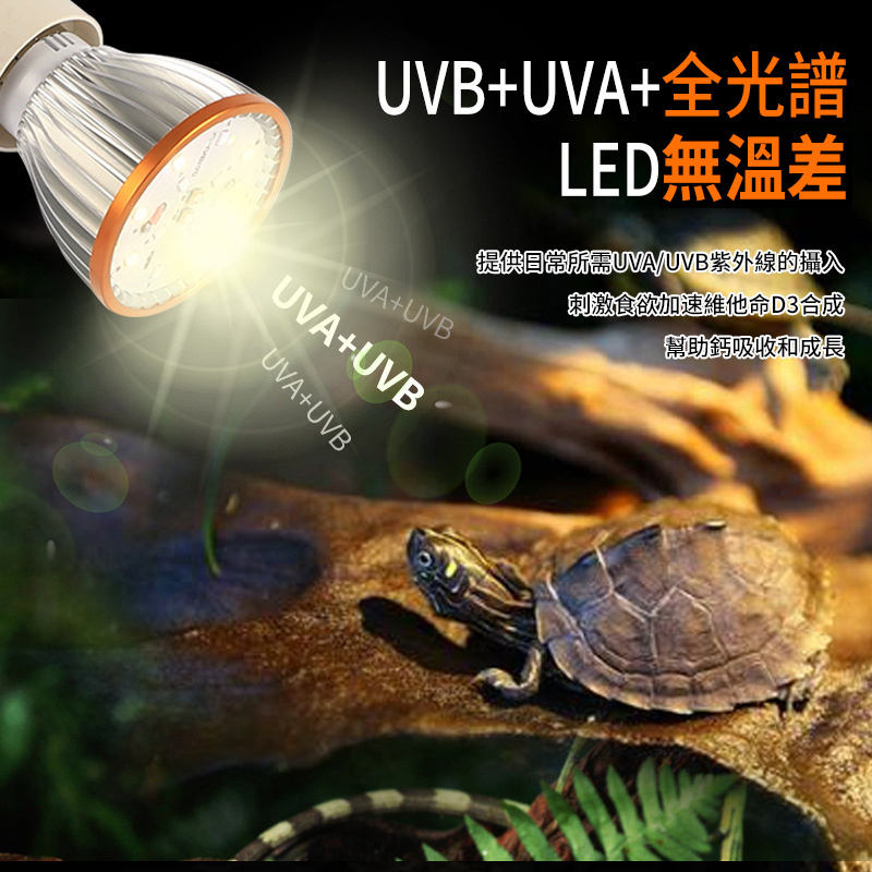 LED烏龜UVB曬背燈丨UVA太陽燈丨爬寵鬃獅蜥蜴爬龜缸燈丨紫外線補鈣燈泡丨 UVB10.0（8118）