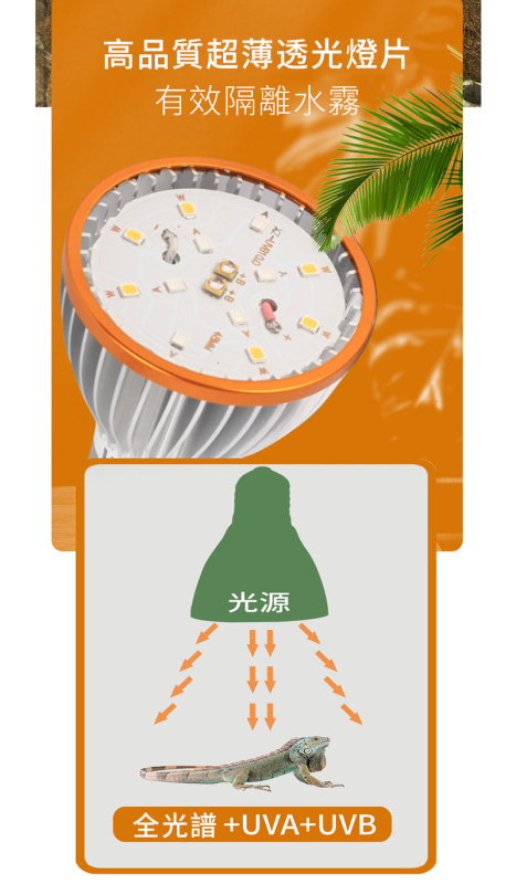 LED烏龜UVB曬背燈丨UVA太陽燈丨爬寵鬃獅蜥蜴爬龜缸燈丨紫外線補鈣燈泡丨 UVB10.0（8118）