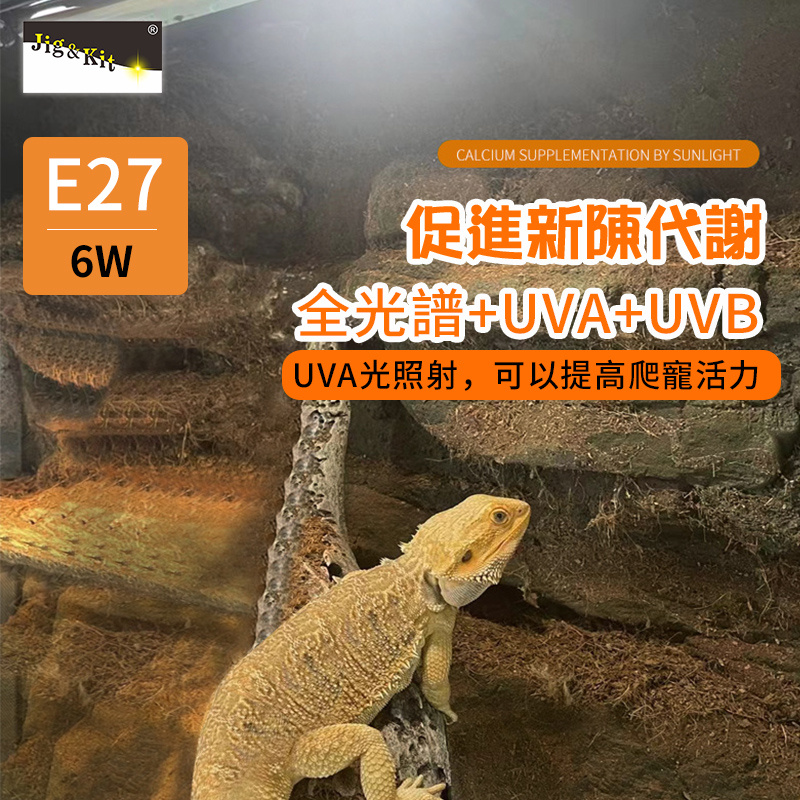 LED烏龜UVB曬背燈丨UVA太陽燈丨爬寵鬃獅蜥蜴爬龜缸燈丨紫外線補鈣燈泡丨 UVB10.0（8118）