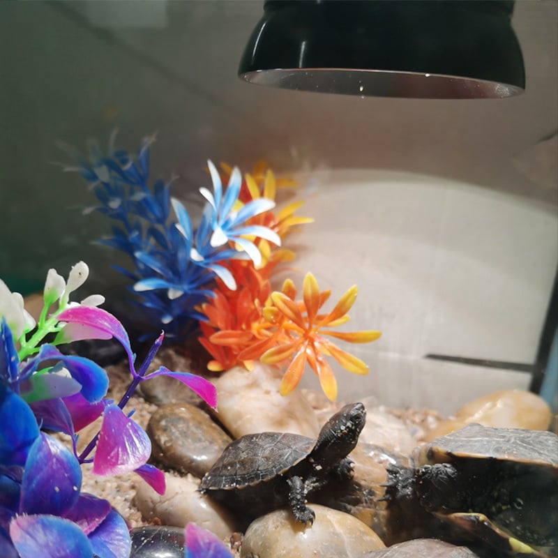 LED爬寵補鈣燈丨烏龜曬背燈丨UVA+UVB全光譜燈丨迴圈定時夾子燈（8119）