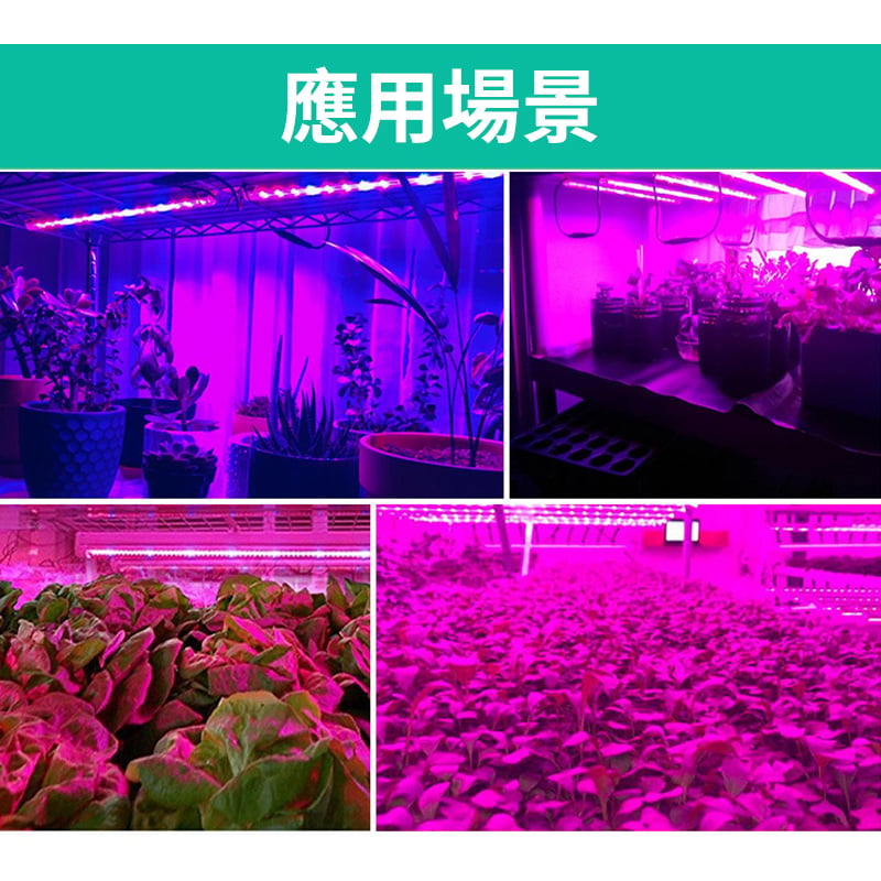 植物生長燈丨LED燈帶丨種植補光燈丨全光譜USB觸摸調光丨防水植物燈 丨粉紫1米/防水（8126）