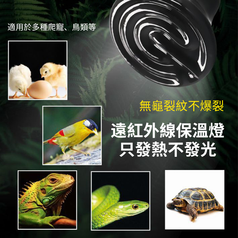 保溫燈丨陶瓷發熱燈丨陶瓷加熱燈丨寵物保溫燈丨烏龜蜥蜴養殖燈丨黑色 100W（8128）