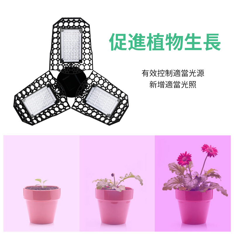 LED植物燈丨折疊變形紅藍配比花卉蔬菜組培育燈丨植物生長燈丨E27-144珠（8129）