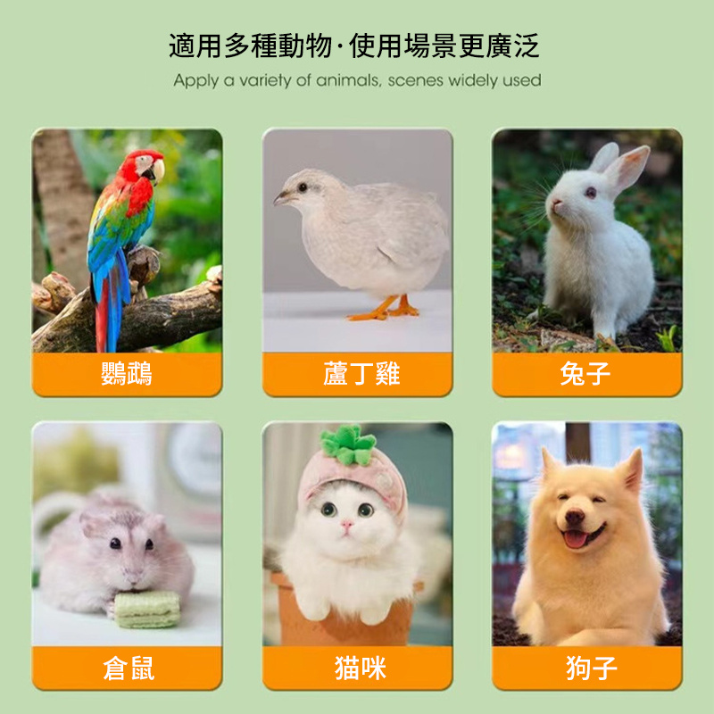 鸚鵡蘆丁雞貓狗寵物保溫燈丨取暖燈丨陶瓷加熱燈丨防燙防咬爬寵燈罩 丨升級款防燙燈罩/開關線（英規）+ 50MM 25W陶瓷燈（8130）