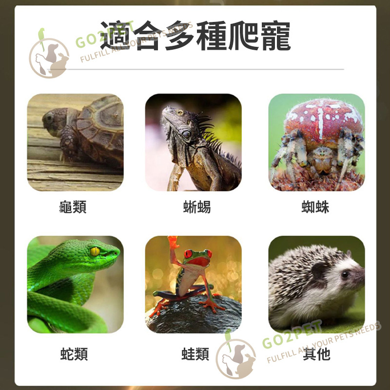 烏龜蜥蜴爬蟲曬背燈 | 自動定時小太陽 | 寵物補鈣加熱 (8135)