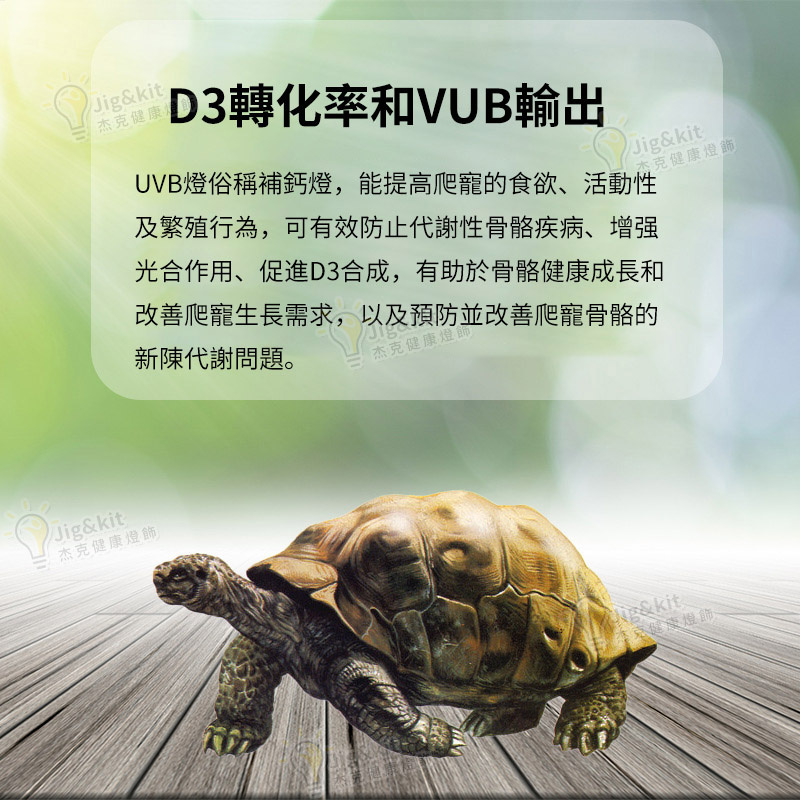 爬蟲燈 | UVB10.0補鈣節能燈 | 陸龜鬃獅飼養箱蜥蜴變色龍紫外線曬背燈 - 220v 13w 10.0藍白光（8136）