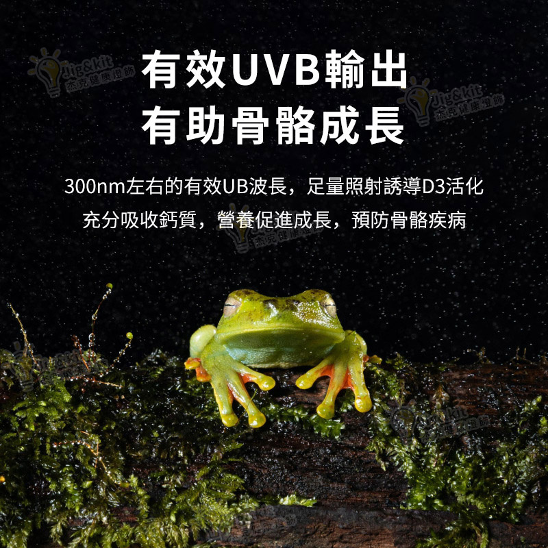 爬蟲燈 | UVB10.0補鈣節能燈 | 陸龜鬃獅飼養箱蜥蜴變色龍紫外線曬背燈 - 220v 13w 10.0藍白光（8136）