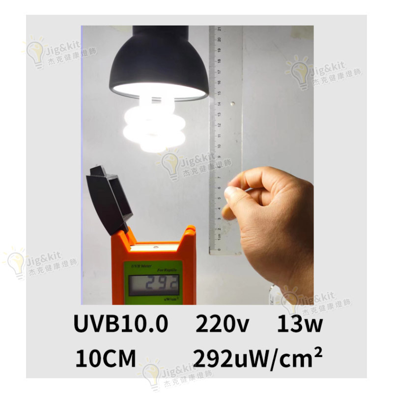 爬蟲燈 | UVB10.0補鈣節能燈 | 陸龜鬃獅飼養箱蜥蜴變色龍紫外線曬背燈 - 220v 13w 10.0藍白光（8136）