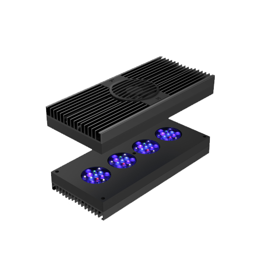AI Hydra 52 HD 黑色- OceanTrendhk