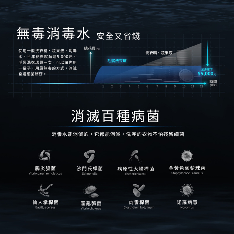 Future Lab. Ioni 毛絮洗衣球