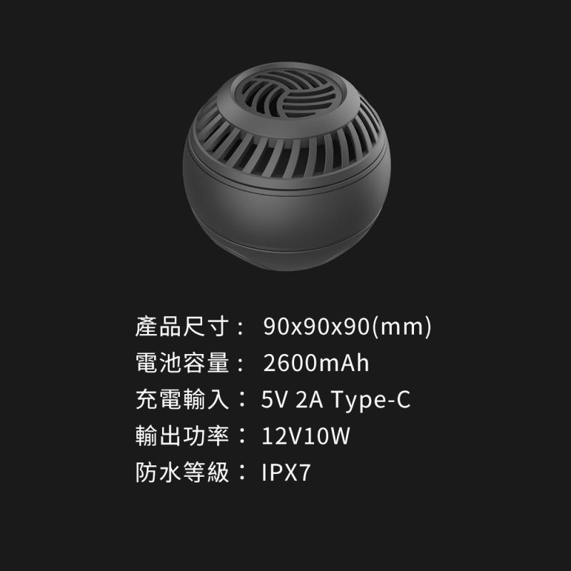 Future Lab. Ioni 毛絮洗衣球