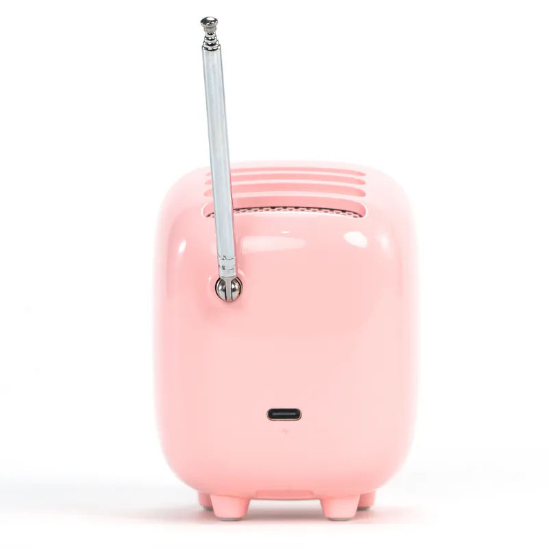 Divoom Tiivoo 2 - 像素藍牙喇叭 (電子相簿/FM收音機/動態歌詞)