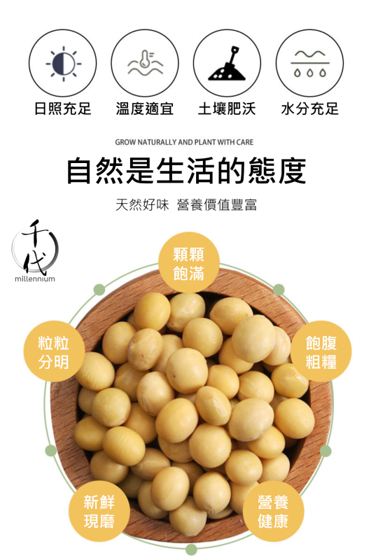 黃豆(真空包裝)(450G)│補氣健脾 養血潤燥│五穀雜糧