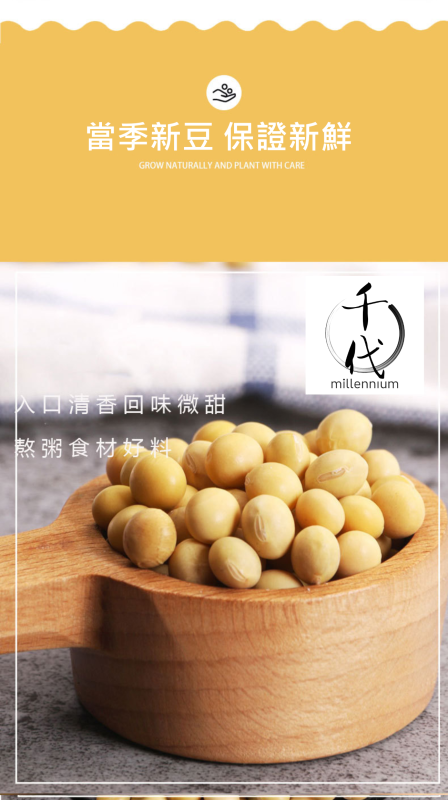 黃豆(真空包裝)(450G)│補氣健脾 養血潤燥│五穀雜糧