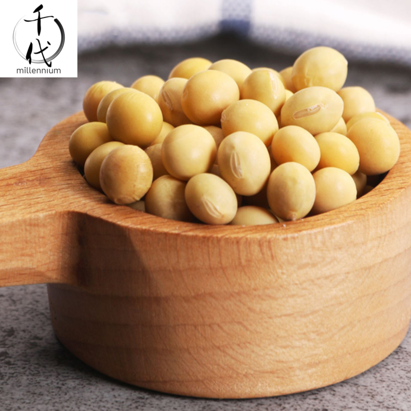黃豆(真空包裝)(450G)│補氣健脾 養血潤燥│五穀雜糧
