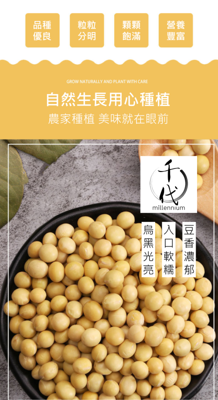 黃豆(真空包裝)(450G)│補氣健脾 養血潤燥│五穀雜糧
