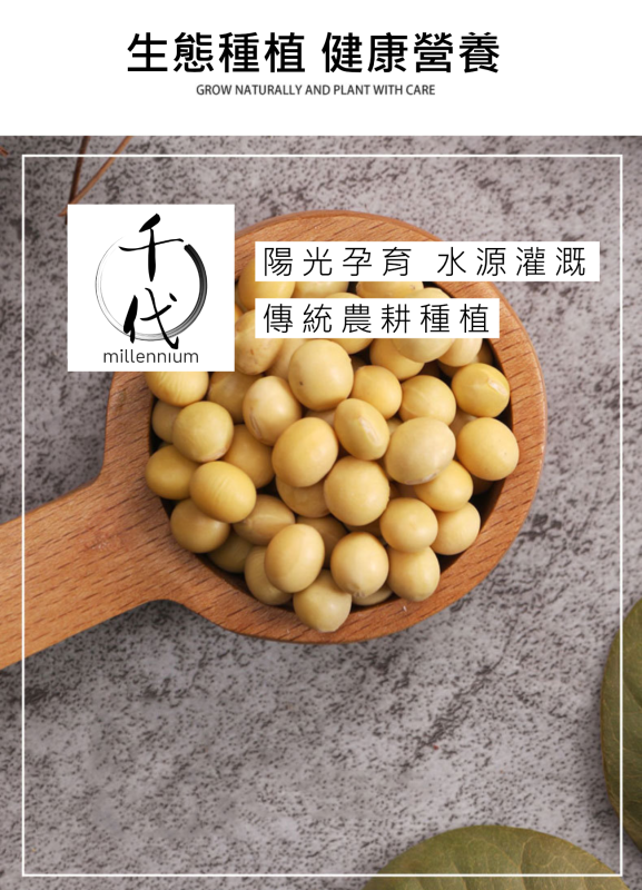 黃豆(真空包裝)(450G)│補氣健脾 養血潤燥│五穀雜糧