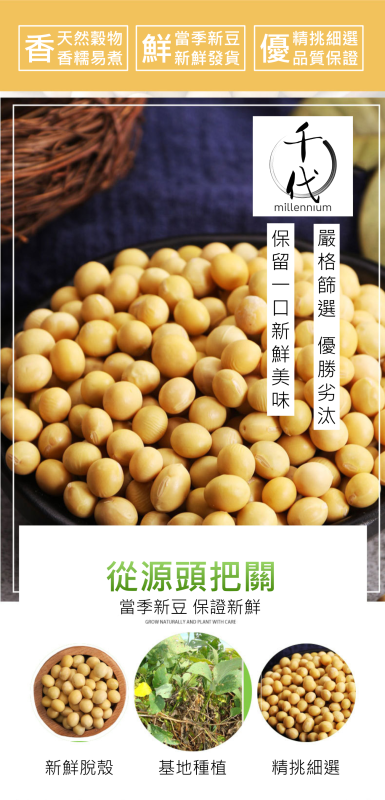 黃豆(真空包裝)(450G)│補氣健脾 養血潤燥│五穀雜糧