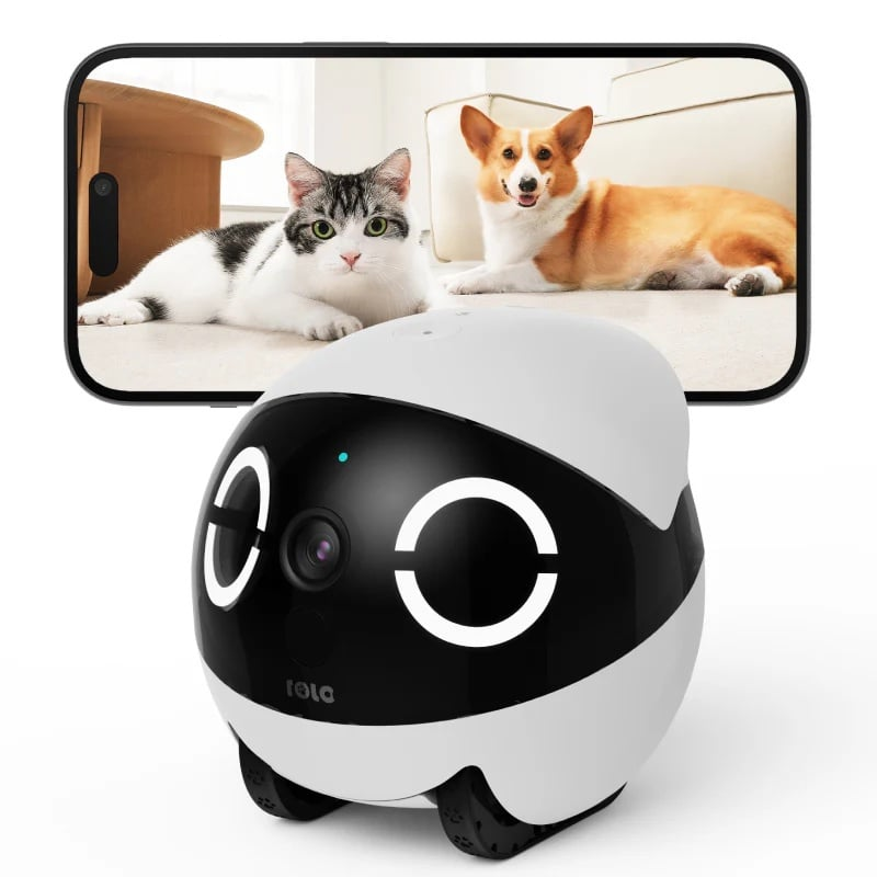 Enabot ROLA Mini Pet Monitor 寵物互動機械人