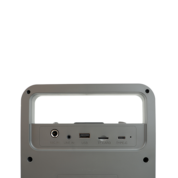 Edifier PP205S 雙MIC版手提便擕式藍牙喇叭