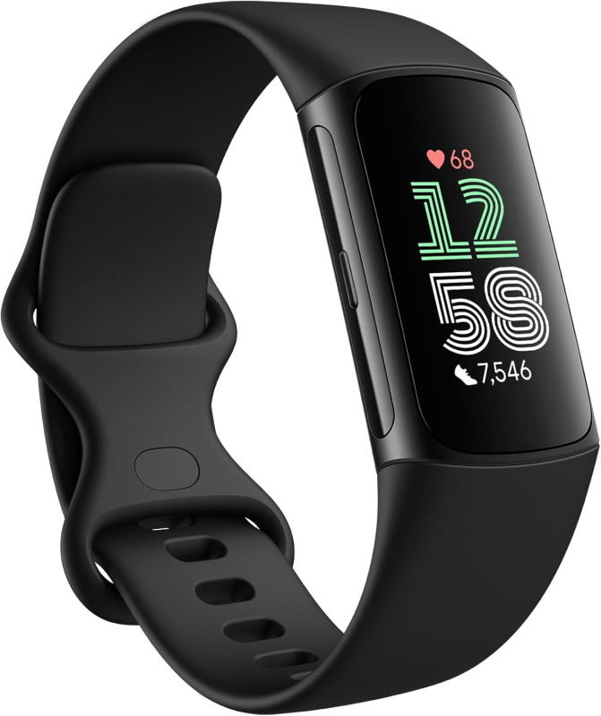 Fitbit Charge 6 健康智能手環【平行進口】