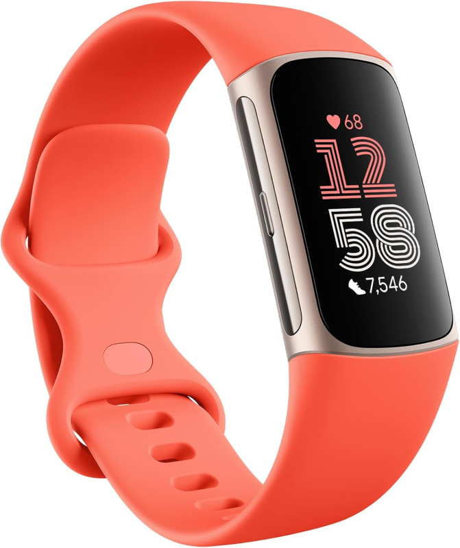 Fitbit Charge 6 健康智能手環【平行進口】