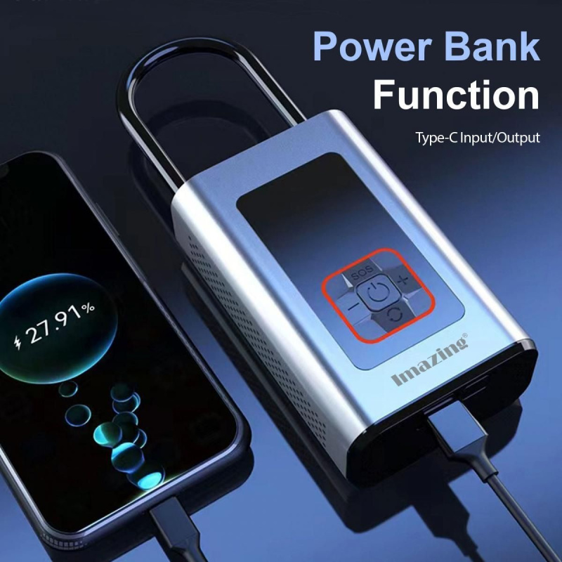 iMazing - 手提式充氣機 LY-656 附行動電源 銀色