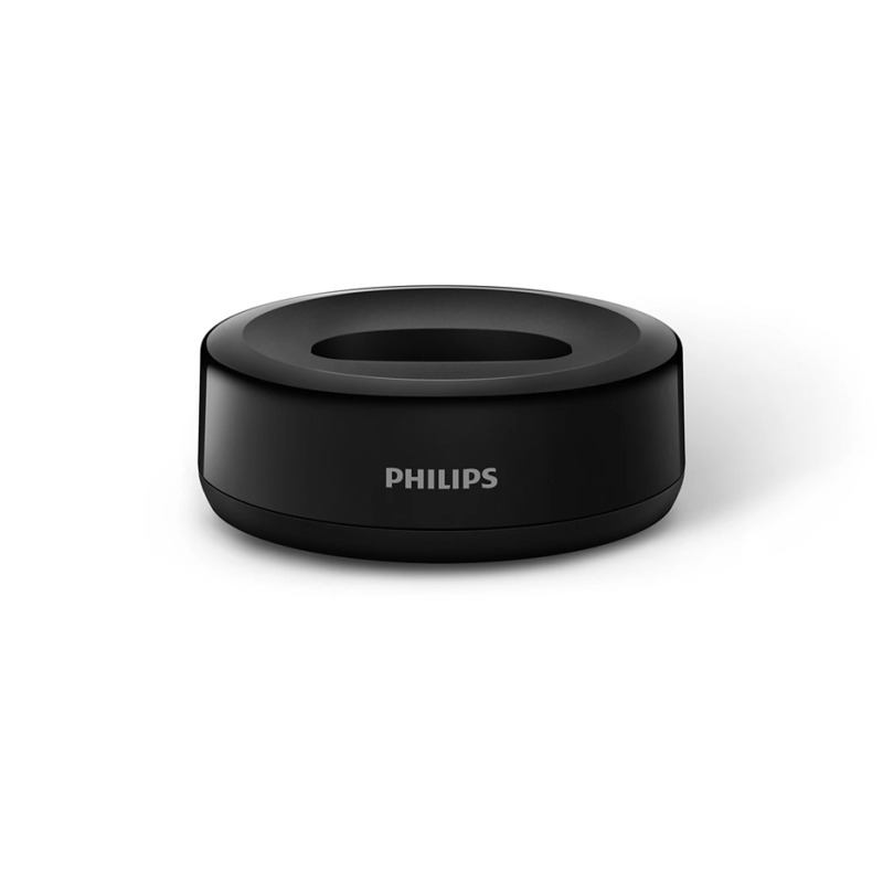 Philips 飛利浦 室內無線電話 D1611B