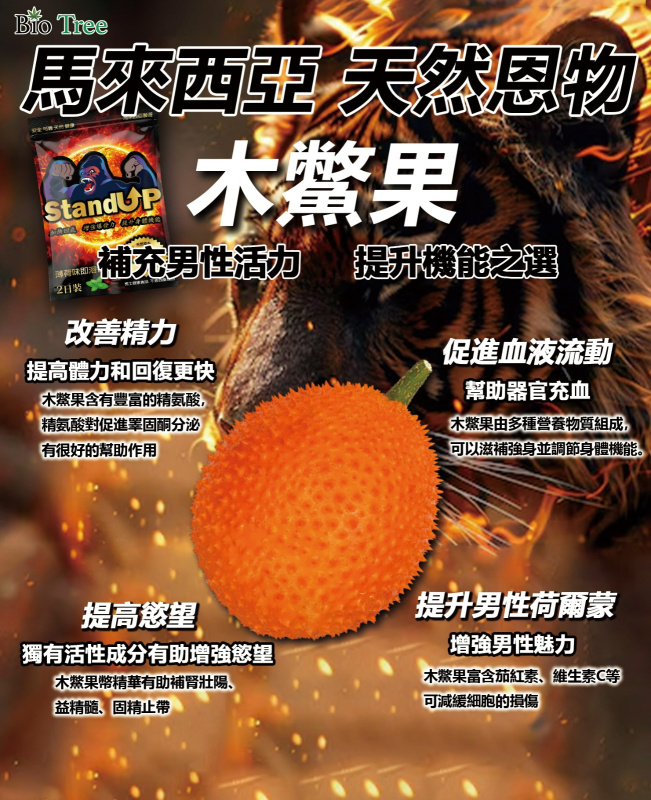 香港 - Bio Tree - KING KONG - Stand UP 薄荷味男士增硬延時即溶含片 2日裝(4片)