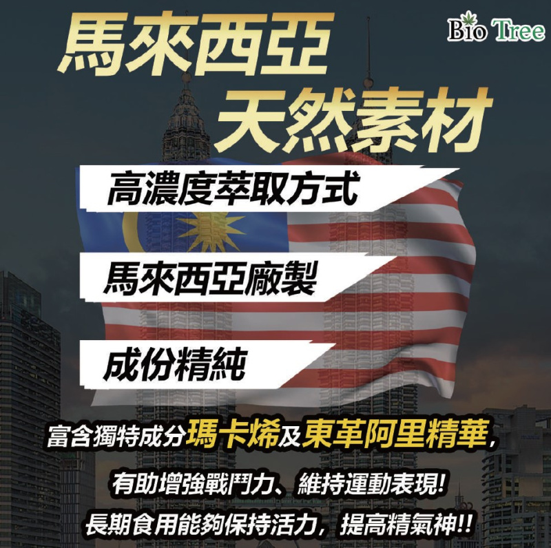 香港 - 力神 - 勁剛丸 SR-9 人參配方 1盒2粒裝