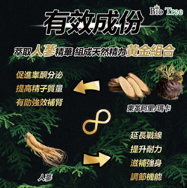 香港 - 力神 - 勁剛丸 SR-9 人參配方 1盒2粒裝