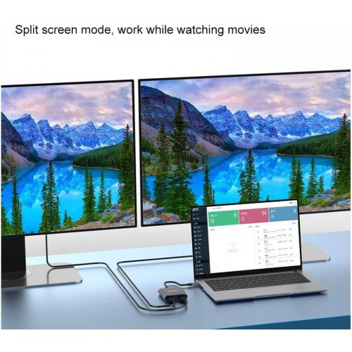 Onten Type-C (USB-C) to Dual HDMI 4K@60Hz Adapter with PD 3.0 OTN-9175K