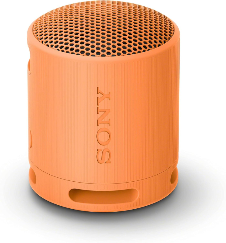 Sony 可攜式無線揚聲器 SRS-XB100 [4色]