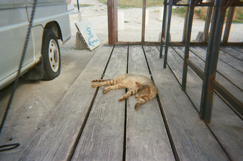 KODAK ColorMax 可重用果凍菲林相機連一卷菲林套裝 / Premium Set Camera + Gold 200