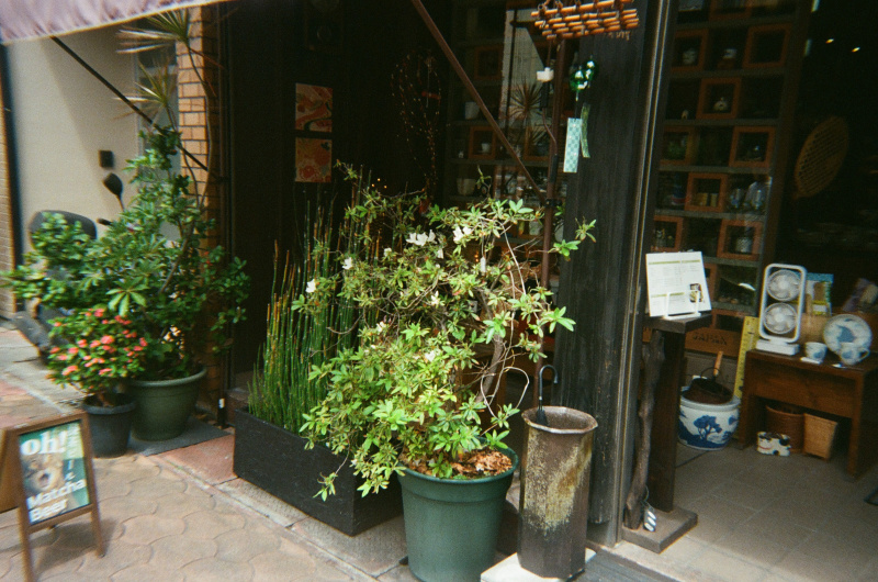 KODAK ColorMax 可重用果凍菲林相機連一卷菲林套裝 / Premium Set Camera + Gold 200