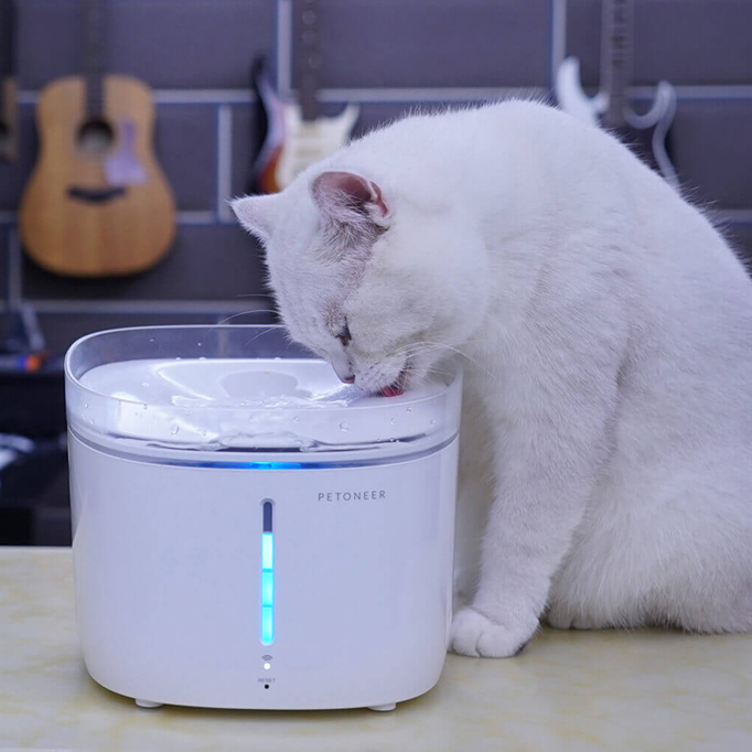 Petoneer Fresco Smart Fountain Ultra UV殺菌智能寵物飲水機 (WF002)