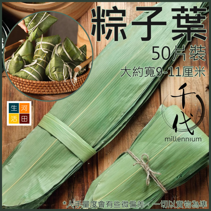 乾粽子葉(大片寬 9-11厘米│50片)│新鮮大號粽葉│端午節包粽子│乾粽葉│家用粽葉
