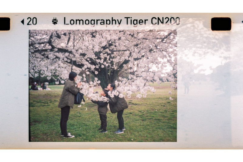 Lomography Lomomatic 110 菲林相機連閃光燈－Zebra Crossing 版本 hp110zw
