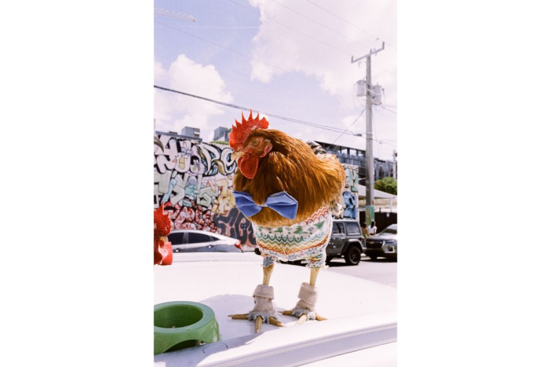 Lomography LomoChrome Metropolis 35mm 冷色調負片-2021 新配方 f236mpolis21 Lomography LomoChrome Metropolis 35mm 冷色調負片-2021 新配方 f236mpolis21